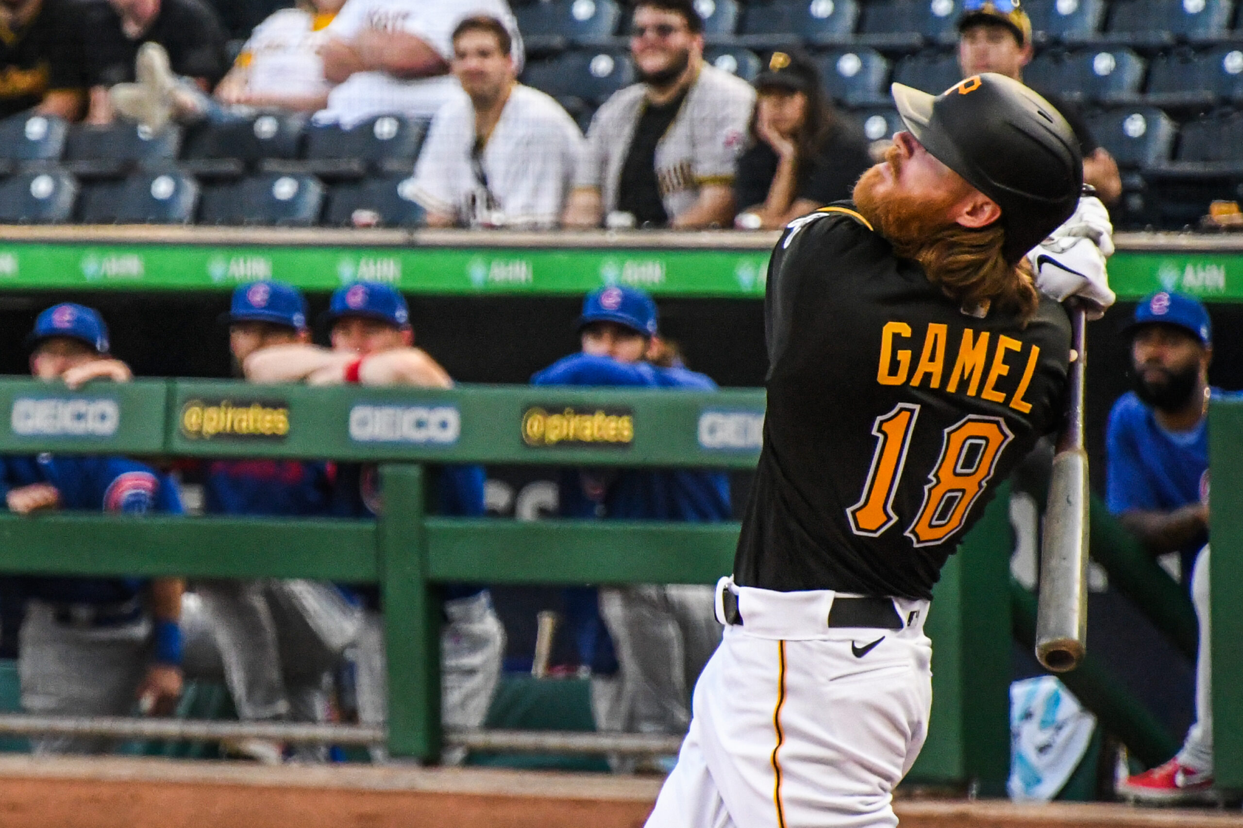 Baseball Photography  