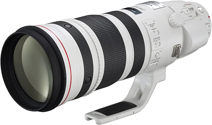 Best Sports Photography Lens 