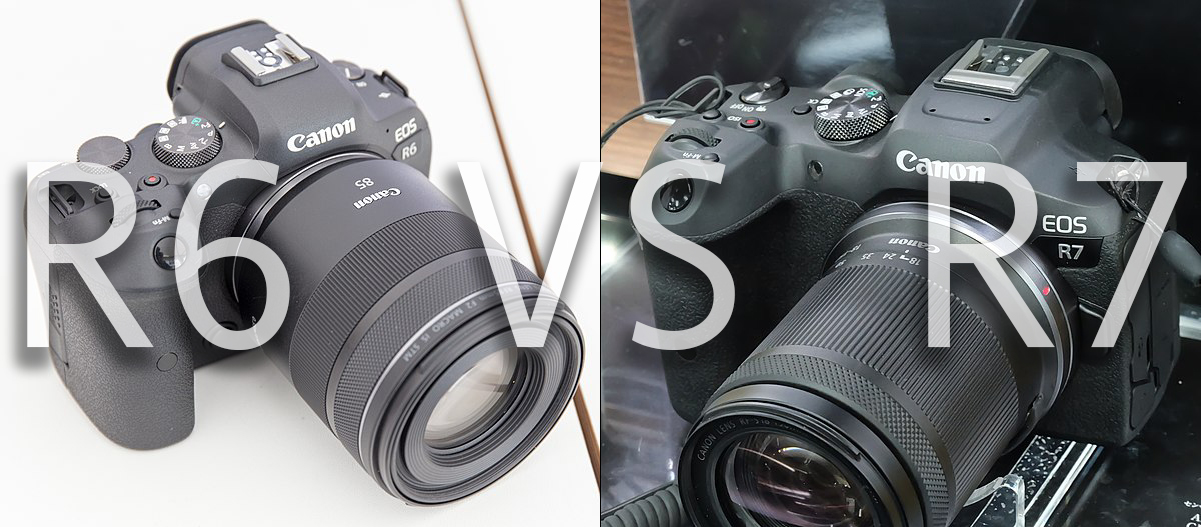 R6 vs R7 | Canon R Series Comparison