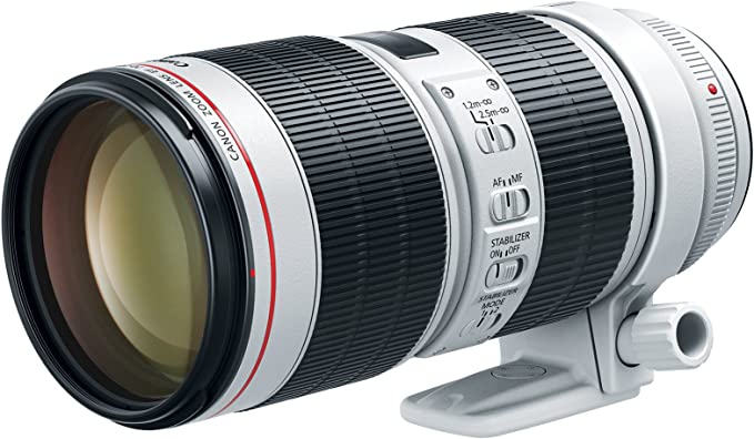 Best Sports Photography Lenses Canon 