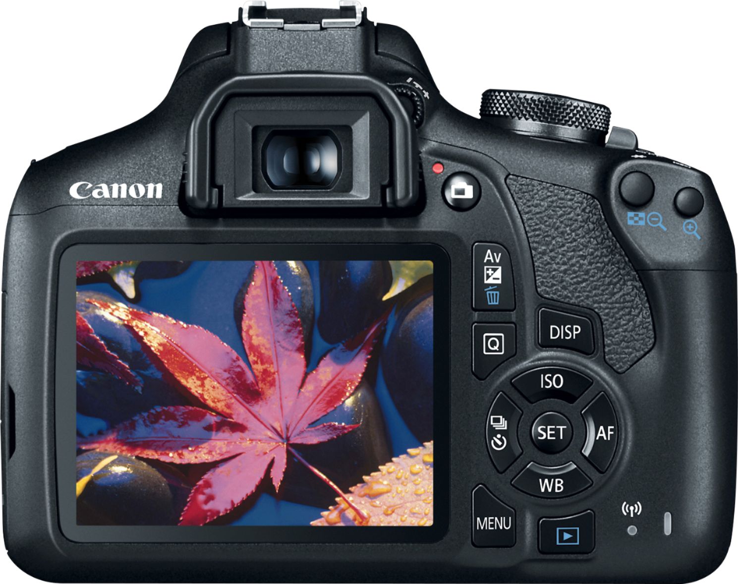 Canon T7 Rear LCD