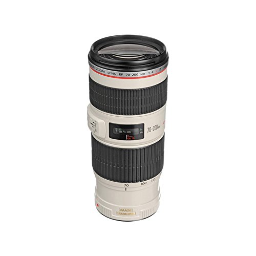 EF 70-200mm f/4L IS USM for sports photography