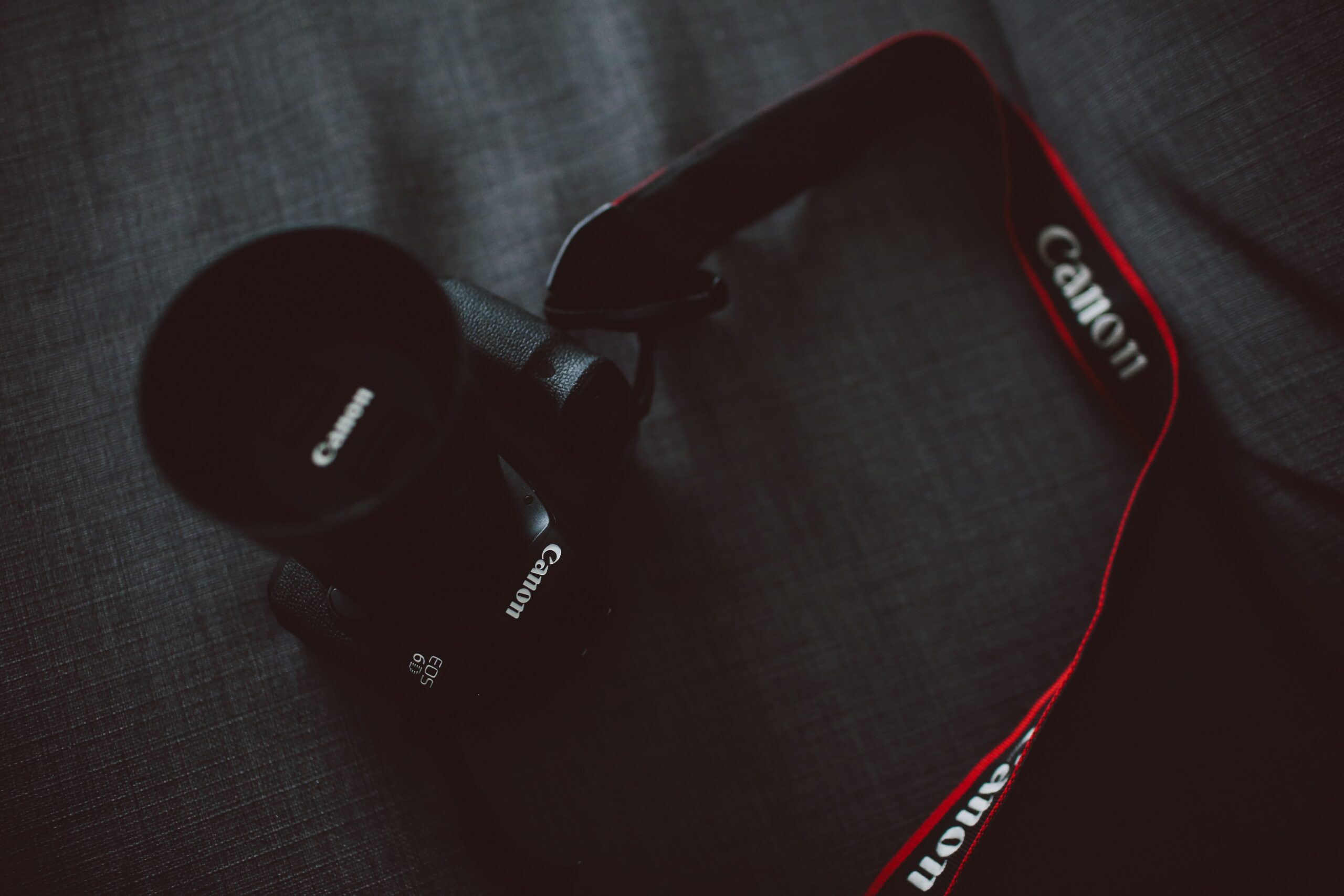 Best Canon Camera for Sports Photography